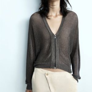 Zara Metallic Thread Knit Cardigan (NWT)